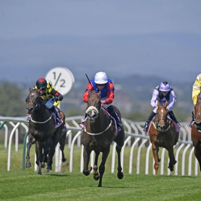 Carlisle racecourse